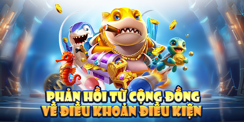 Phản hồi từ cộng đồng về điều khoản điều kiện